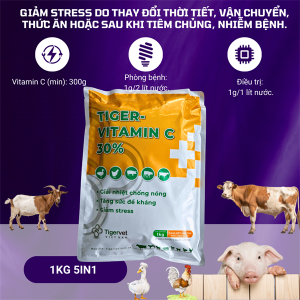 TIGERVET VITAMIN C 30% 1kg - 5in1