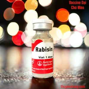 Alternative view of Vaccine - Dại Chó, Mèo - RABISIN 1 Liều - Màu đỏ - Liều