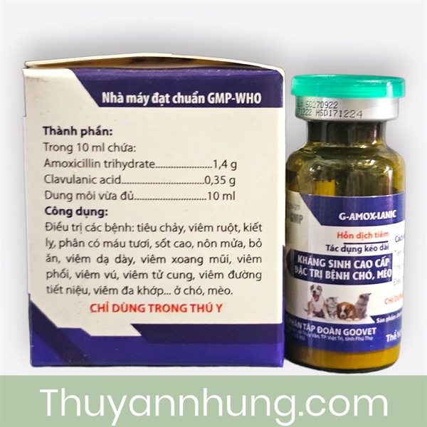 Goovet Kháng sinh cao cấp (Chó, Mèo) 10ml - lọ - Ảnh 4