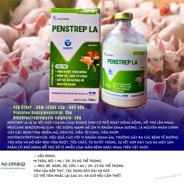 VIA PENSTREP LA 100ml - Chai 100ml