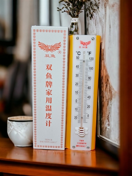 Ẩm kế dài (Treo tường) - Cái - Ảnh 3