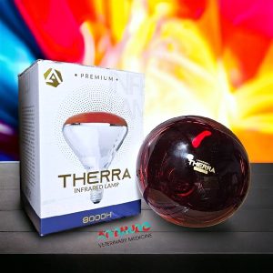 Alternative view of THERRA 100W (PREMIUM 8.000h) - Cái