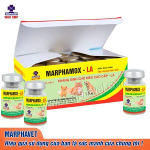 MARPHAMOX LA - 5ml - Kháng sinh chó mèo cao cấp - Chai 5ml