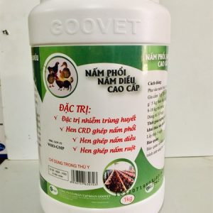 Alternative view of GOOVET NẤM PHỔI, NẤM DIỀU CAO CẤP 1kg - Lon 10in1