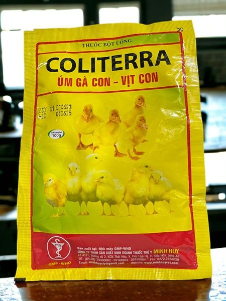 Minh Huy COLI TERRA 100gr - Gói 100gr