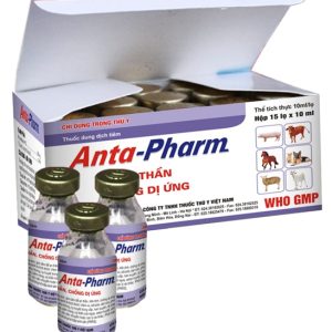 Drich Anta Pham 10ml - Hộp 15 lọ