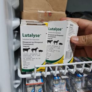 Alternative view of Zoetis Lutalyse 30ml - Hộp