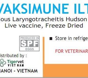 Alternative view of VACCINE TIGERVET VAKSIMUNE- ILT - Lọ 1.000 liều