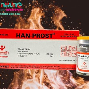 Alternative view of HAN PROST - Tan thể vàng, gây động dục, cho đẻ sớm - Lọ 5ml