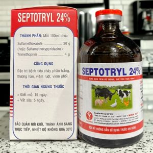 Minh Huy SEPTOTRYL 24% 100ml - Lọ 100ml