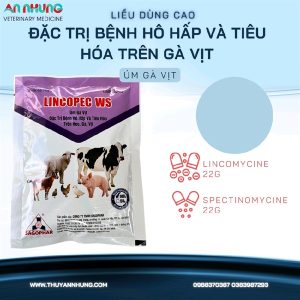 Sagophar LINCOPEC WS 100gr - Gói