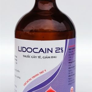 Hanvet Lidocain 2% (Gây tê) 100ml - Lọ