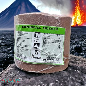 Alternative view of Đá Liếm MINERAL BLOCK RD Spain - Tròn Đỏ - 4 viên/Thùng - 20kg - Thùng