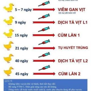Alternative view of Vaccine Mar VGV - 1.000 Liều - lọ 1.000 liều
