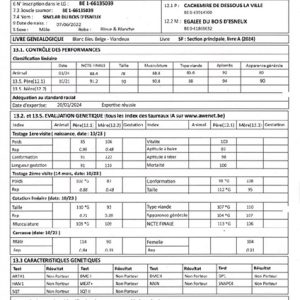 Alternative view of BBB SINCLAR- Be166135039 - 90 point - Liều