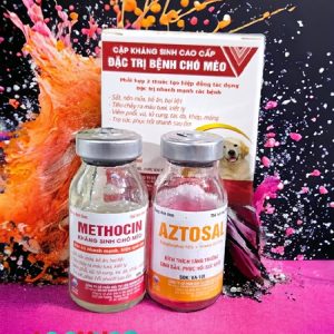 VIAVET Kháng sinh Chó, Mèo cao cấp - Cặp