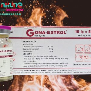 Alternative view of HANVET GONA ESTROL - Lọ 8ml