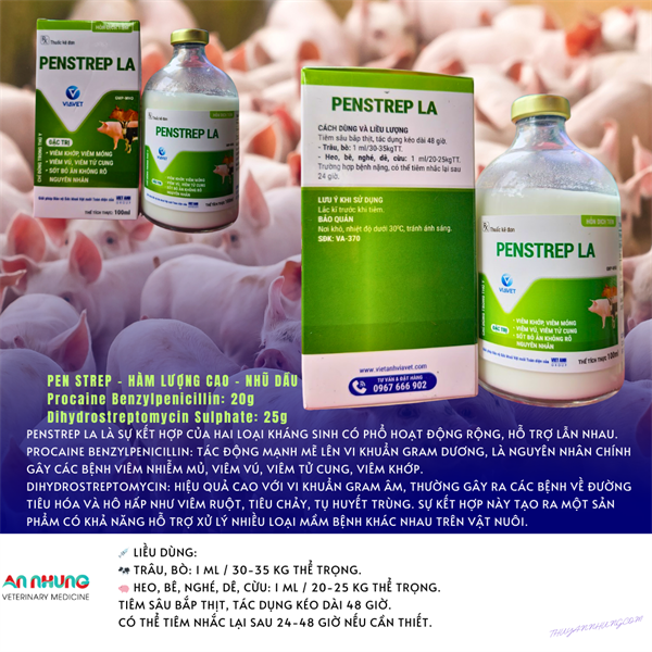 VIA PENSTREP LA 100ml - Chai 100ml - Ảnh 3