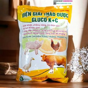 GOOVET ĐIỆN GIẢI THẢO DƯỢC GLUCO KC - Gói 5in1