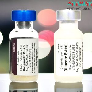 Alternative view of Vaccine Zoetis VanGuard Plus - 5 bệnh chó - Cặp 5Benh