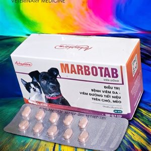 Á Châu Marbo Tab (Viêm da, viêm đường tiết niệu Pet ) - Hộp 100 viên