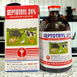 Alternative view of Minh Huy SEPTOTRYL 24% 100ml - Lọ 100ml