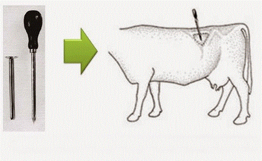 TROCA - Thông chướng hơi dạ cỏ, Chọc dò - Cái - Ảnh 2