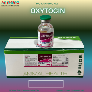 Sagophar Oxytocin 20ml - Lọ/20ml