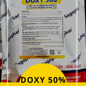 Alternative view of SAGOPHAR DOXY 500 1kg - Gói 10in1