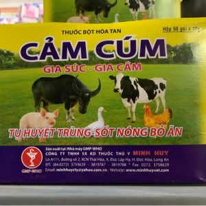 Alternative view of Minh Huy Cảm Cúm 10gr - Hộp
