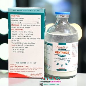 Alternative view of Á CHÂU GENTA AMOX - 72H - Lọ 100ml