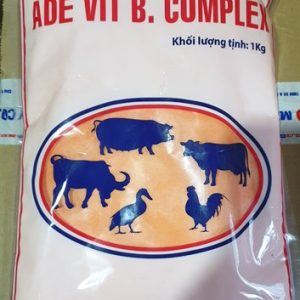 Alternative view of MINH HUY ADE VIT BCOMPLEX - Gói