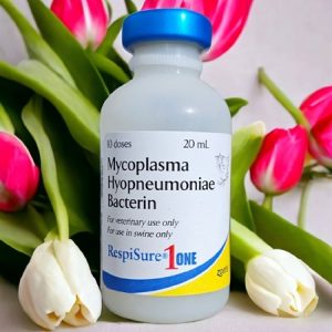 Alternative view of Vaccine Zoetis Repisua 1One - Lọ 50 liều