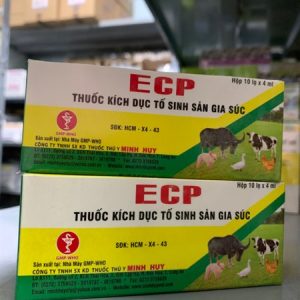 Alternative view of Minh Huy ECP (Estradiol) 4ml - Hộp 10 lọ