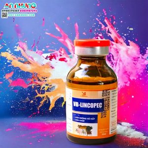 Alternative view of VB LINCOPEC - Lọ 100ml