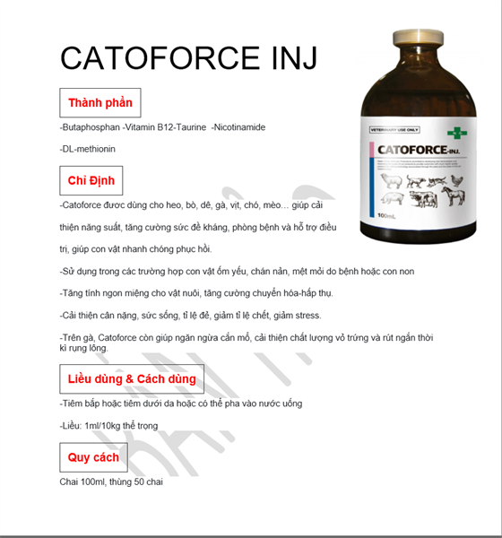 SISTAR CATOFORCE 100ml - chai - Ảnh 3