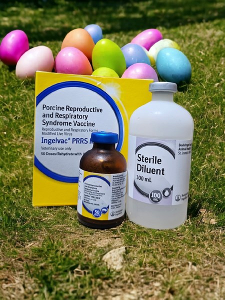 Vaccine Boehringer - PPRS - Tai Xanh - Lọ 10 liều - Ảnh 2
