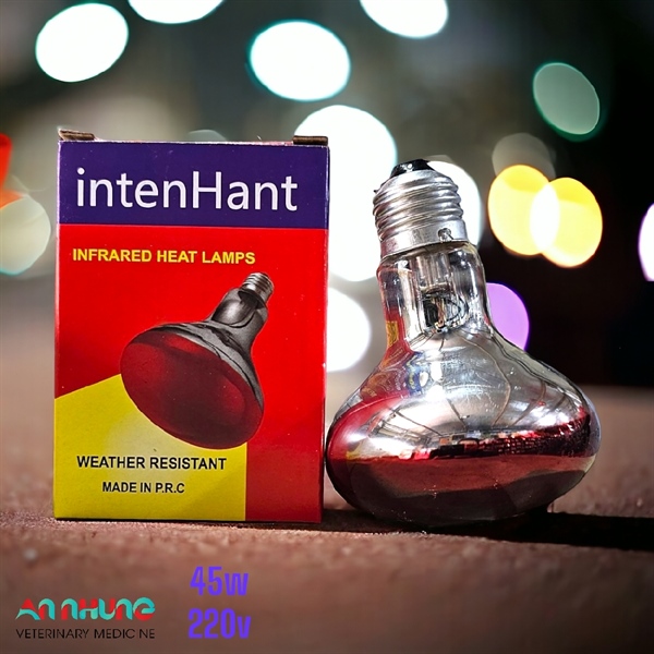 Inten Hant 45w/ bóng nhỏ - cái