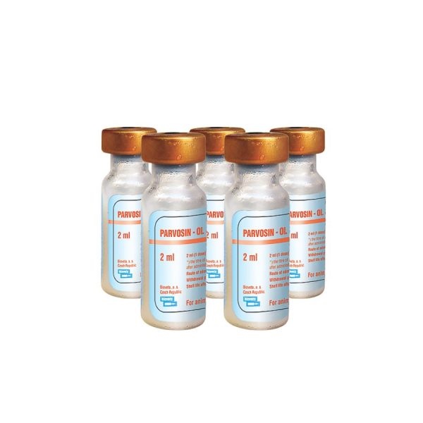 Vaccine Parvo 1 Liều - Lọ 1 con - Ảnh 2