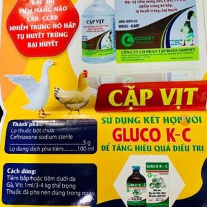 Alternative view of Goovet Cặp vịt 5g - hộp