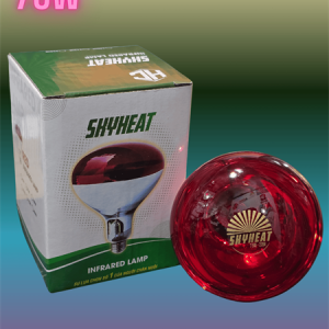 Bóng Sky Heat 75w - cái
