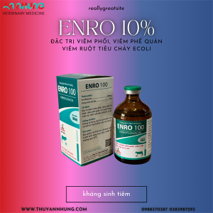 Sagophar Enro 100 INJ - Lọ/20ml