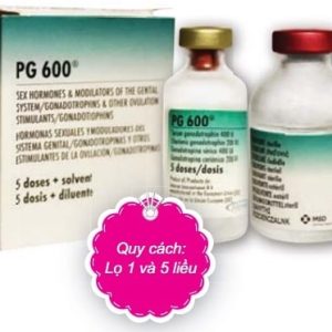 PG 600 - liều