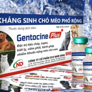 ND Gentocine Plus 5ml - Hộp 15 lọ