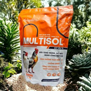 Alternative view of Á Châu MULTISOL 1kg - Thuốc Bổ Cao Cấp - Gói 10in1
