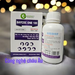 GOOVET BAYCOC ONE 100ml - Lọ