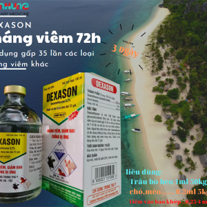 VIAVET DEXASON (72h) 100ml - Lọ