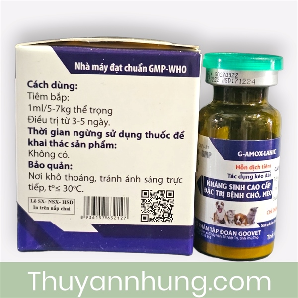 Goovet Kháng sinh cao cấp (Chó, Mèo) 10ml - lọ - Ảnh 5