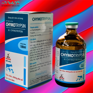SAGOPHAR CHYMOTRYPSIN INJ 100ML - CHAI 100ML