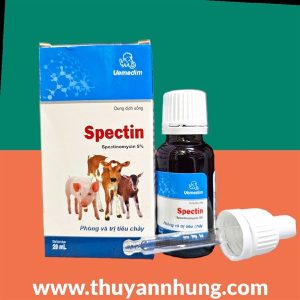 VMD Spectin 20ml Oral - Lọ 20ml